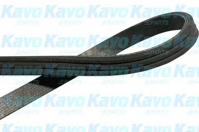 KAVO PARTS dmv2034 -  Поликлиновой ремень